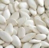 snow white pumpkin seed